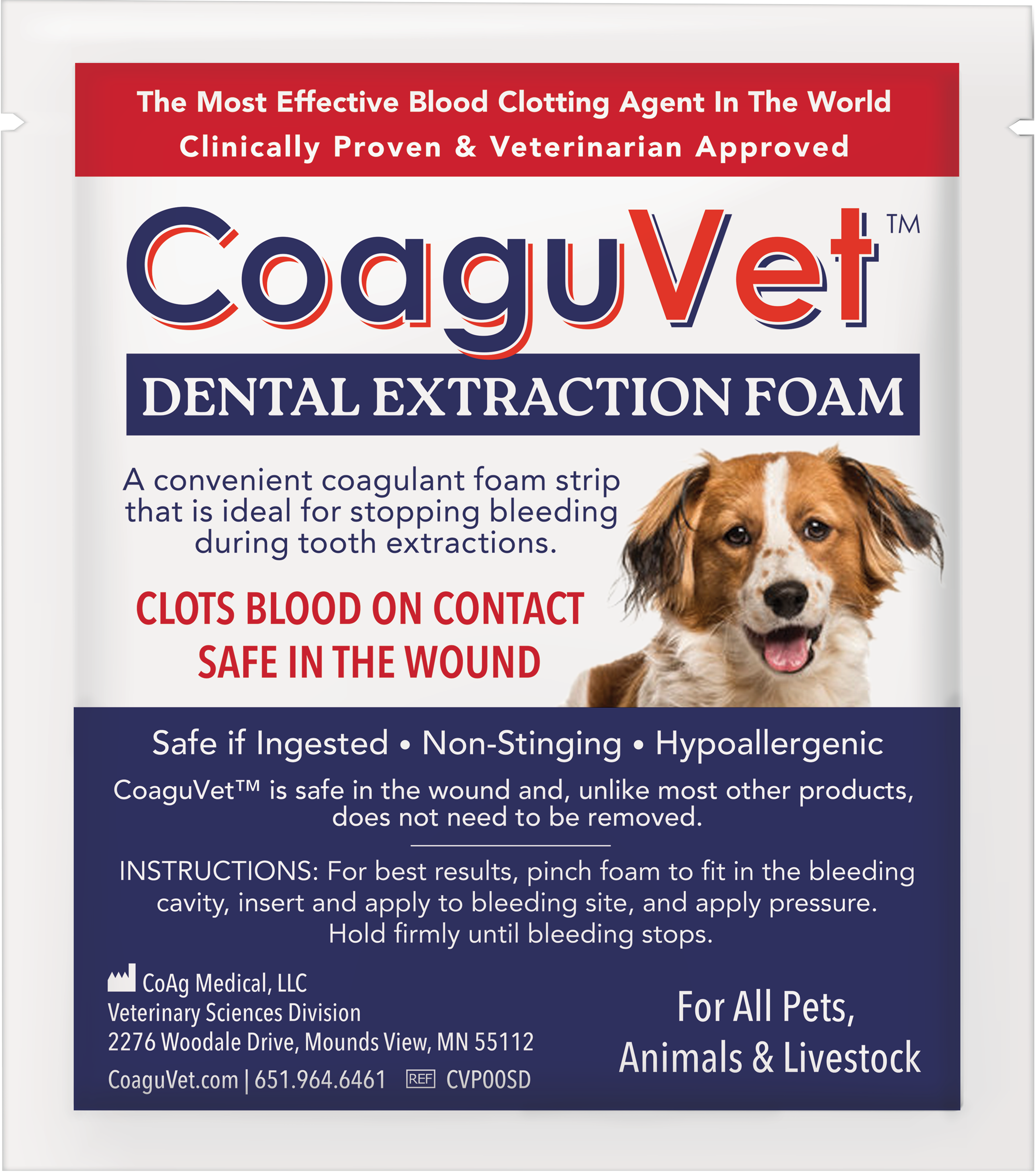 Dental Extraction Foam