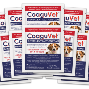 CoaguVet Dental Extraction Foam